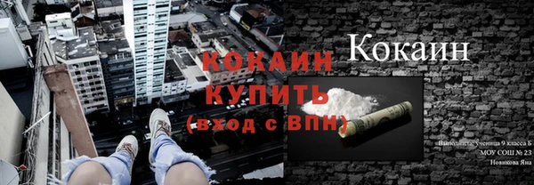 ECSTASY Белокуриха