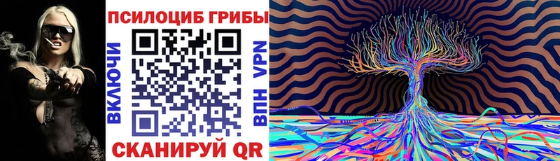 Галлюциногенные грибы Cubensis  наркотики  Шелехов 